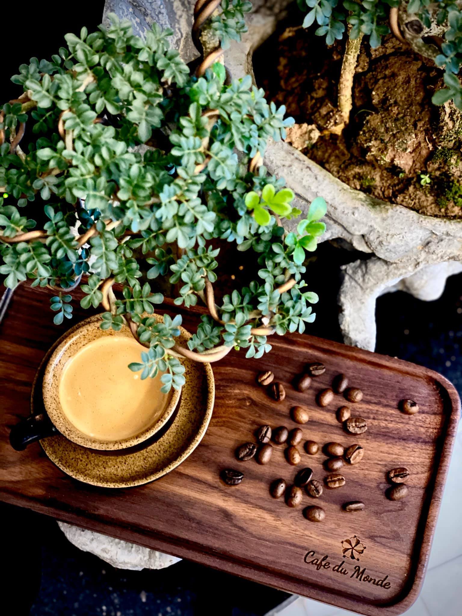 Những lưu ý khi chọn và xử dụng khay gỗ cho quán café, tiệm bánh, quán trà sữa 1 Khay gỗ óc chó